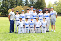 MAJOR DODGERS