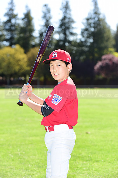 MCardinals0004