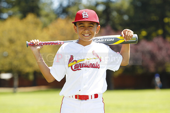 MCards1006