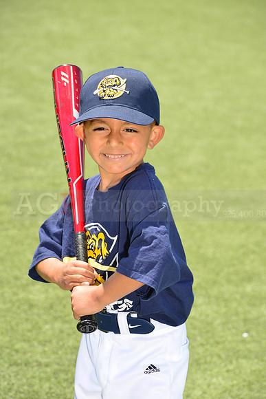 SB_TB_Riverdogs00039