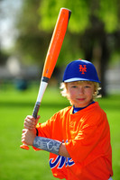 AA METS016