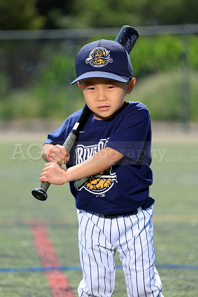 SB_TB_Riverdogs70