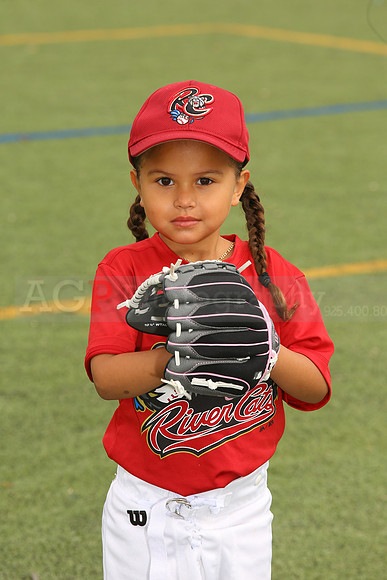 SB_TB_Ironpigs00060