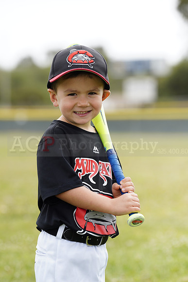 TBMudcats00128