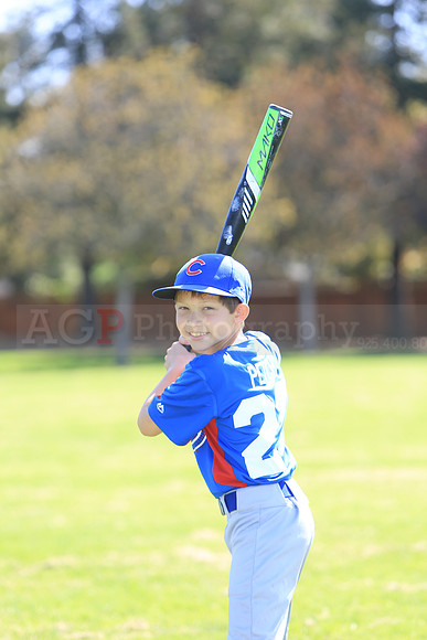 AAACubs010