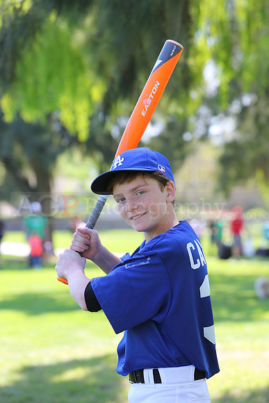 MajorDodgers009