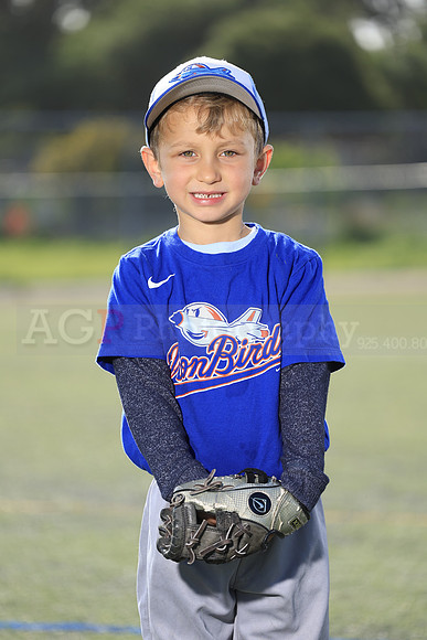 SB_TB_IronBirds001