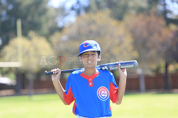 AAACubs018