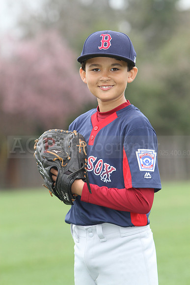 AAARedsox042
