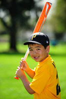 AAAPirates017
