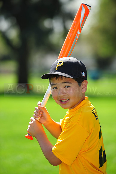 AAAPirates017