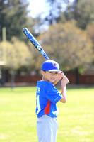 AAACubs004