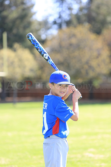 AAACubs004