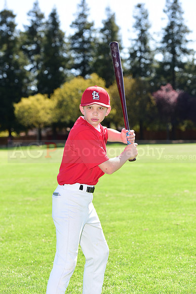 MCardinals0047