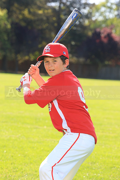 PLL_AAA_Cardinals00003