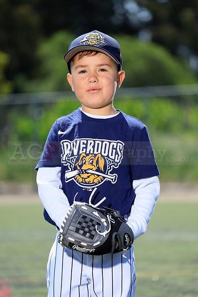 SB_TB_Riverdogs84