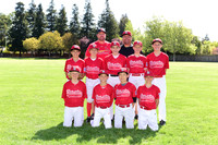 MAJOR CARDINALS