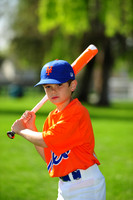 AA METS003