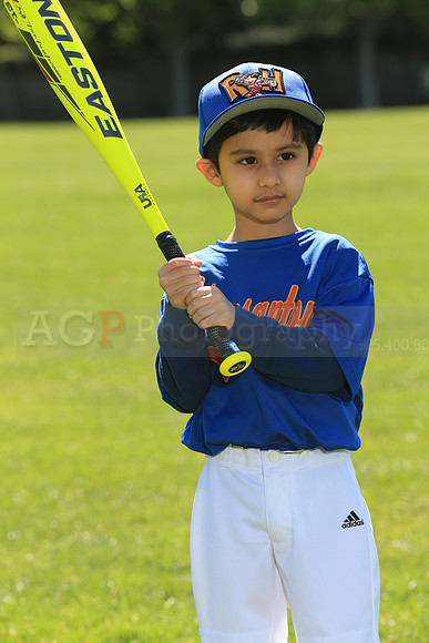 PLL_TB_Rockhounds00045