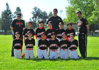 AA GIANTS