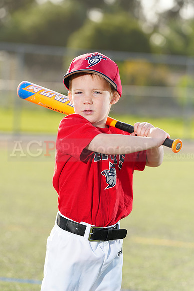 SB_TB_Bats078