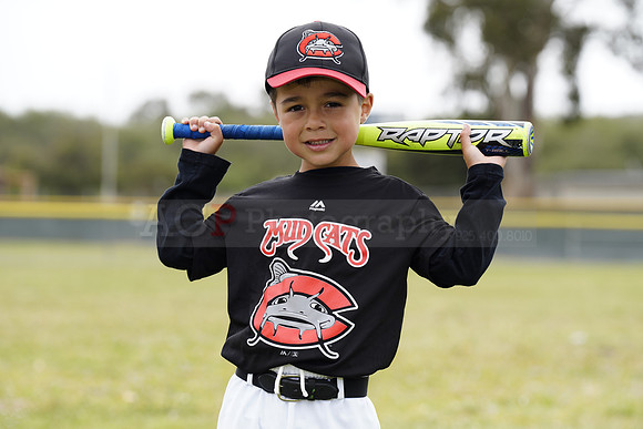 TBMudcats00163