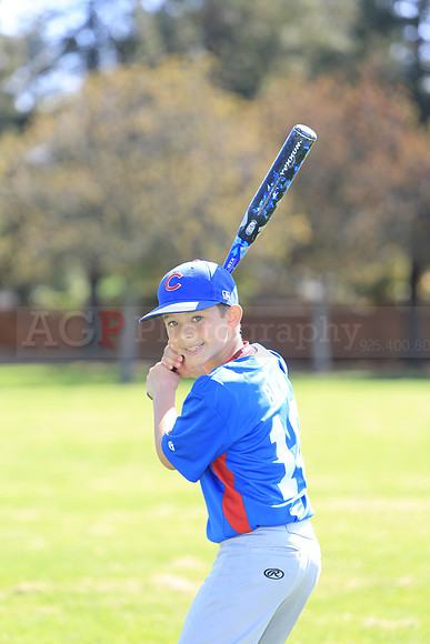 AAACubs034