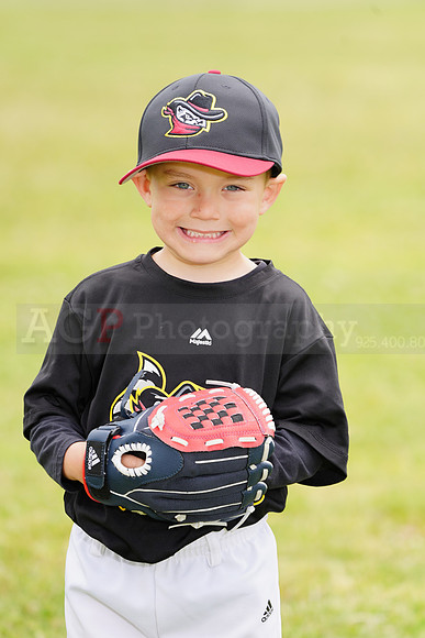 AGP09063