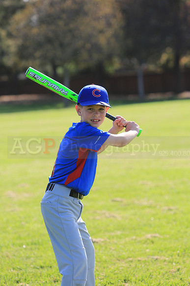 AACubs028