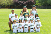 T-BALL JACKMAN