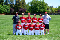 MAJOR CARDINALS