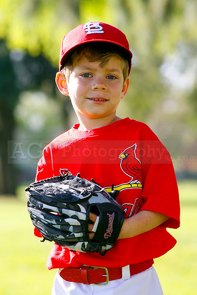 TBCards034