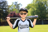 PLL_A_Whitesox00011