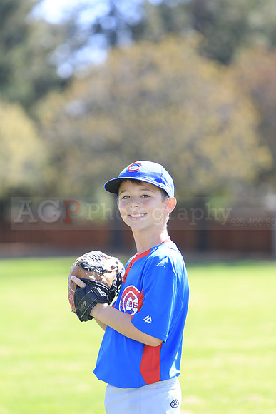 AAACubs033
