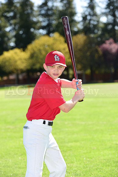 MCardinals0046