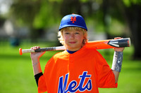 AA METS018
