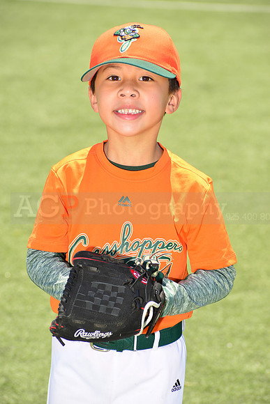 SB_TB_Grasshoppers00019