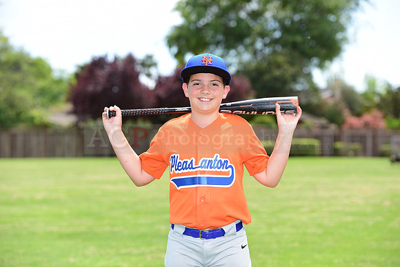 MMets0006