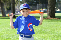 ACubs015