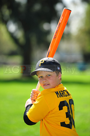 AAAPirates010