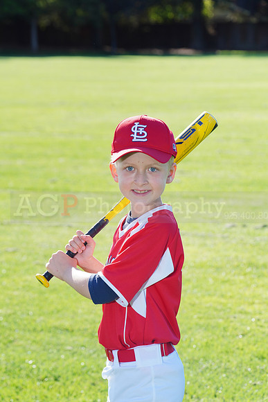 PLL_A_Cardinals00048