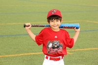 SB_TB_Ironpigs00009