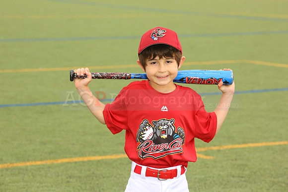 SB_TB_Ironpigs00009