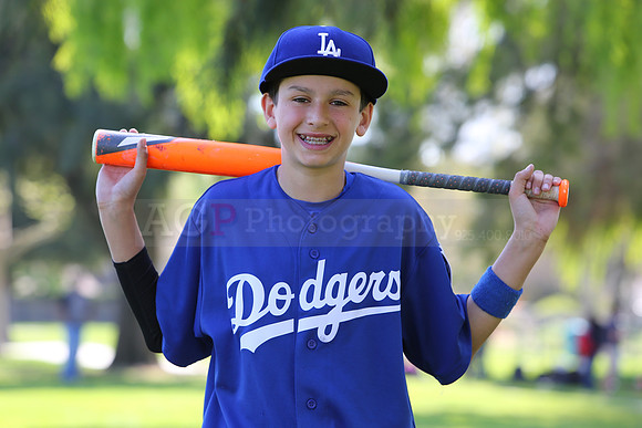 MajorDodgers017
