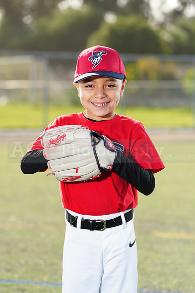 SB_TB_Bats061