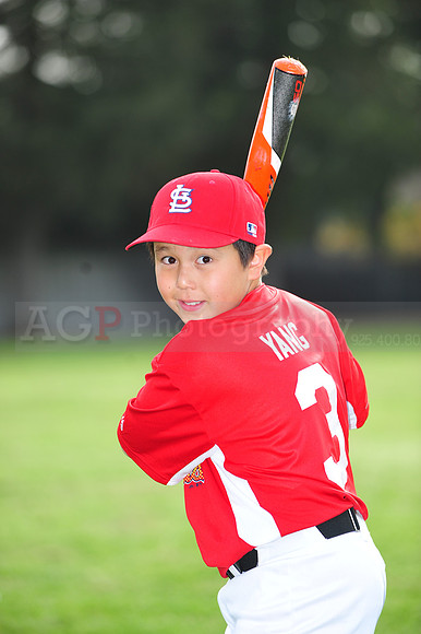 AACards015
