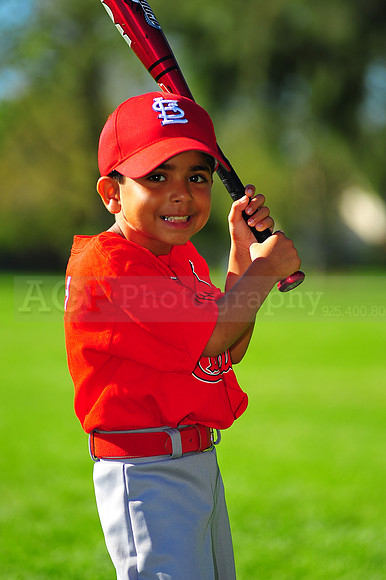 TBall_Cardinals016