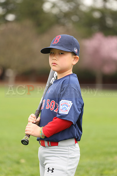 AARedsox076