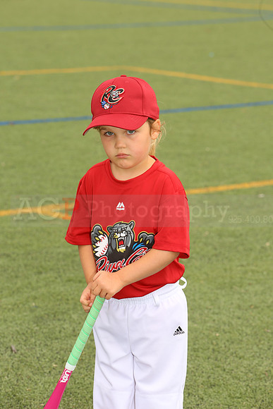 SB_TB_Ironpigs00071