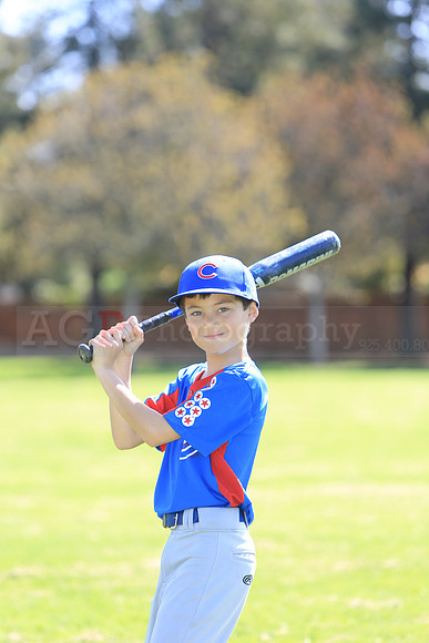 AAACubs029